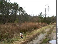 Area near where Taylor's body was found