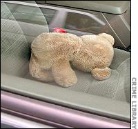 Taylor's teddy bear